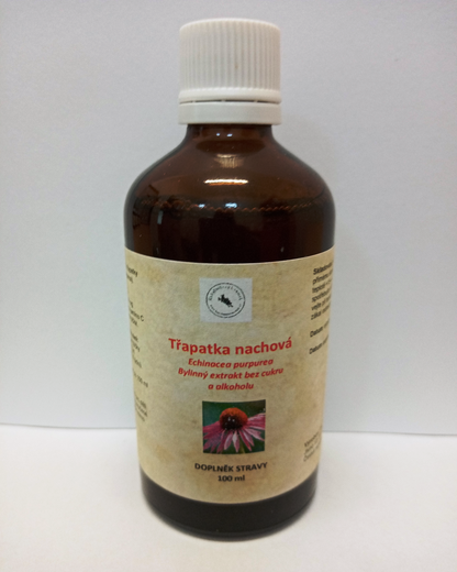 Echinacea (Třapatka nachová)