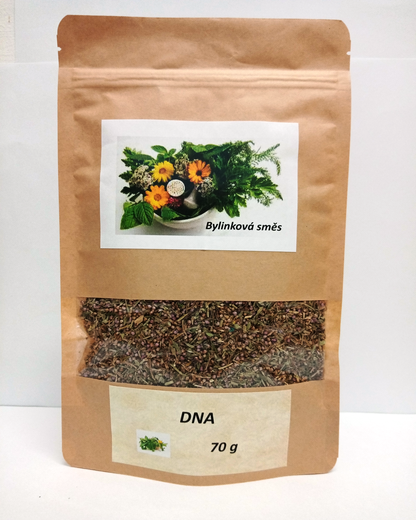 DNA